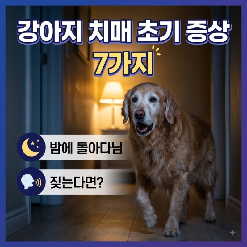 강아지 치매 초기 증상 7가지｜밤에 돌아다니고 짖는다면?
