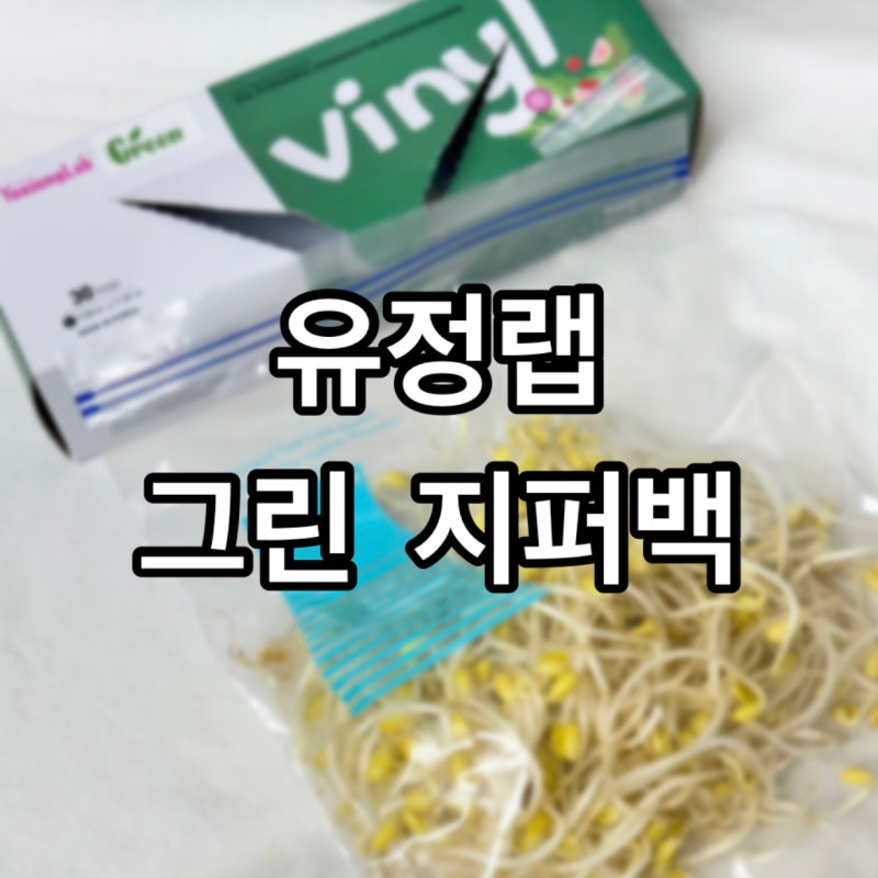 냉장고정리 지퍼백 추천 :유정랩 그린: 과일 야채 신선보관방법