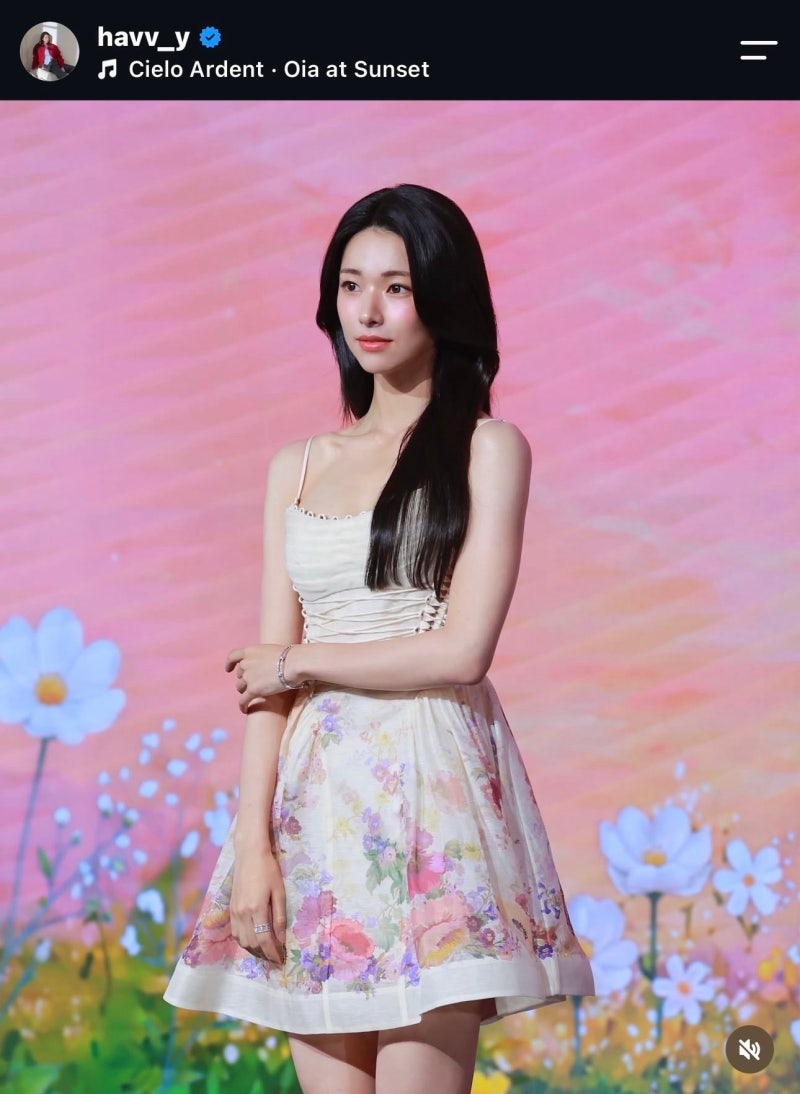 배우 하영 논란 총정리 증조부 친일 안상호 누구? 노윤서 그림 실력 비교