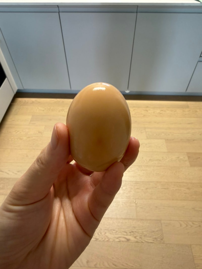 임산부 단백질을 위한 전기밥솥 맥반석계란