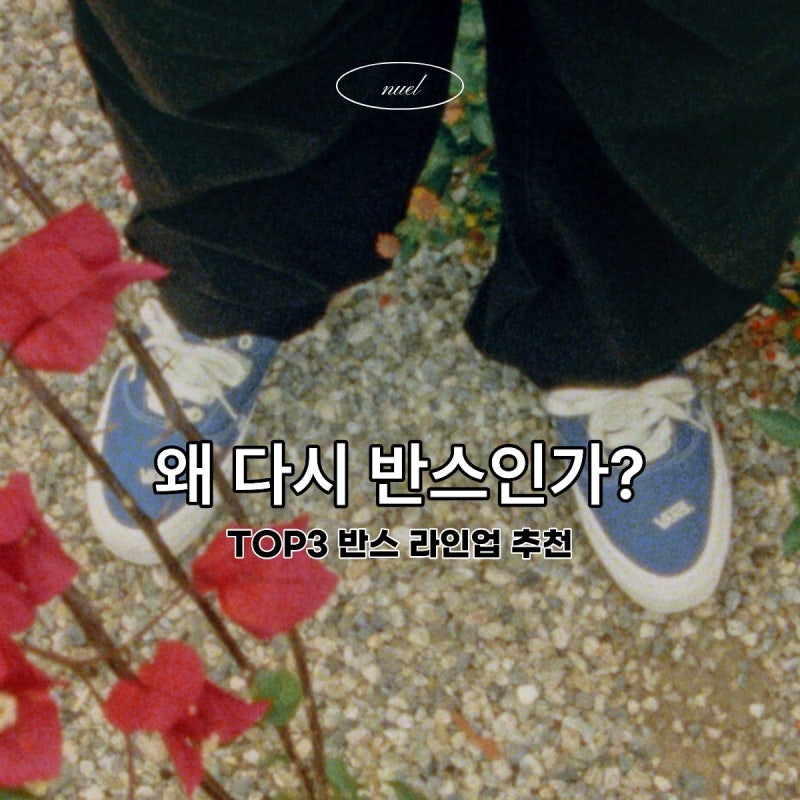 지금 사도 안 늦는 반스 신발 추천 & 실패 없는 선택법