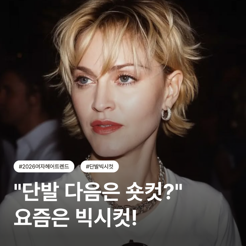 단발은 지겹고 숏컷은 부담스럽다면? 요즘 뜨는 '빅시컷' 스타일