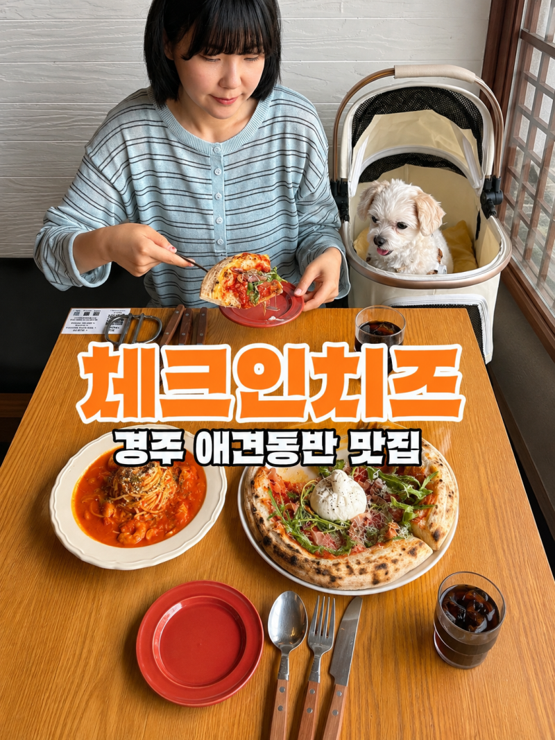 경주 황리단길 애견동반 식당 피자 맛집 추천 체크인치즈 황리단길점
