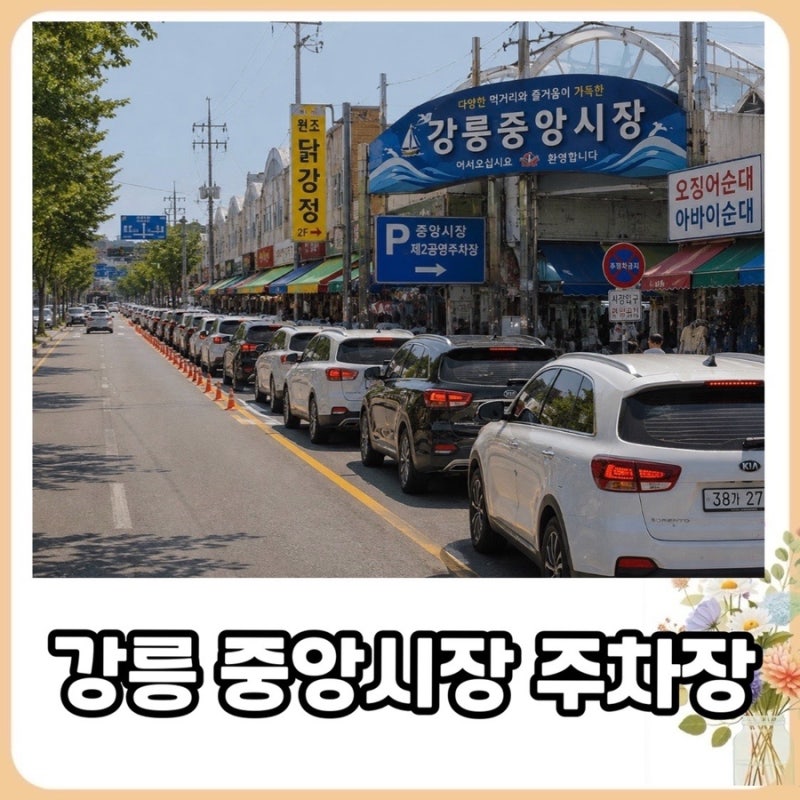 강릉중앙시장 주차장, 어디에 주차해야 편할까?