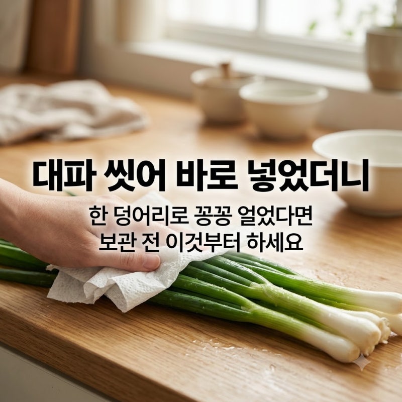 대파 냉동보관 물기 제거 안 하면 낭패! 1년 내내 싱싱한 보관 꿀팁