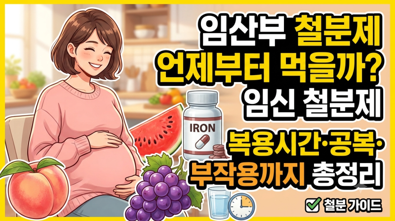 임산부 철분제 언제부터 먹을까?｜임신 철분제 복용시간·공복·부작용까지 총정리