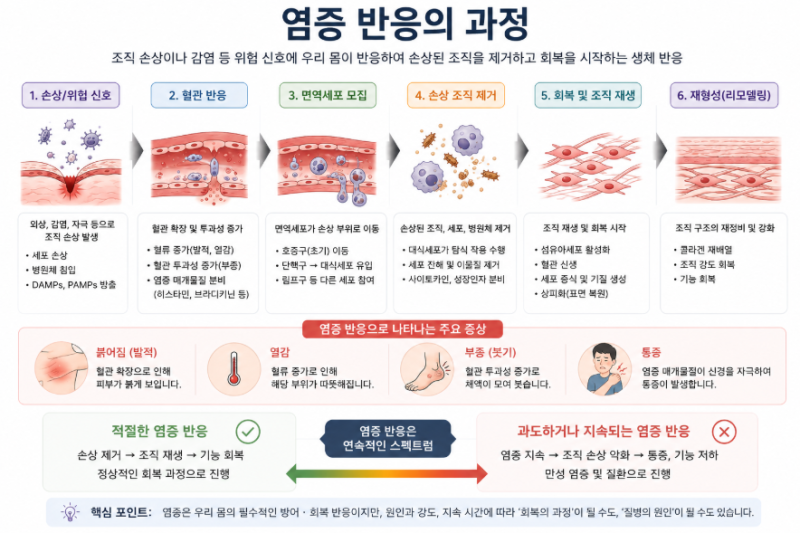 [통증주사 2편] 프롤로, DNA, PRP???