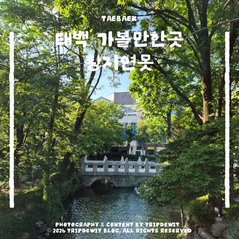 태백 가볼만한곳 황지연못 여름에도 시원할까?