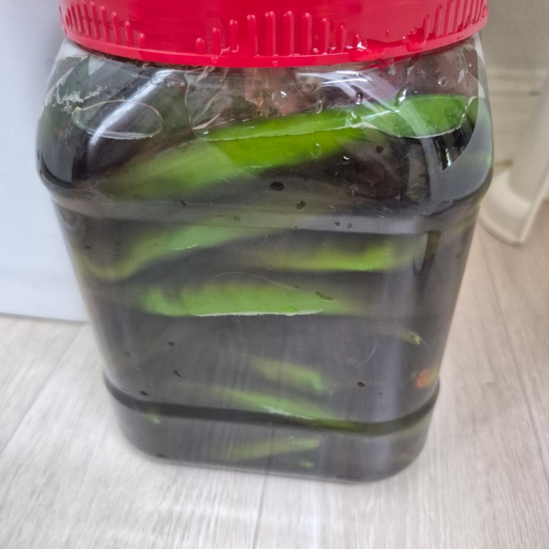 고추간장절임 만드는 법, 여름 밥도둑 장아찌 담그기