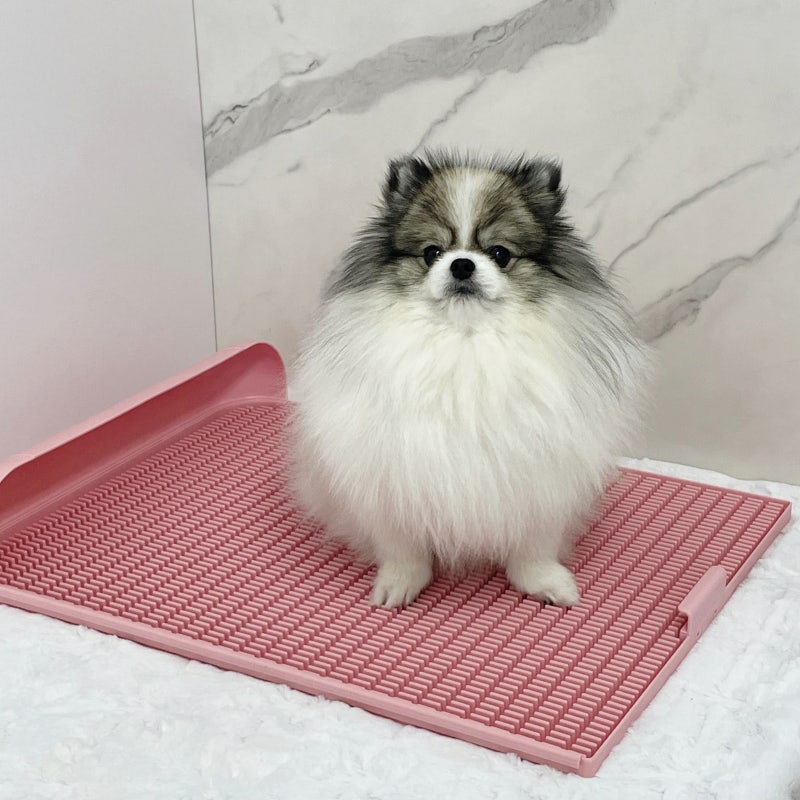 독톡 배변판 강아지화장실 추천 패드없이 사용해! 페일핑크 L 후기