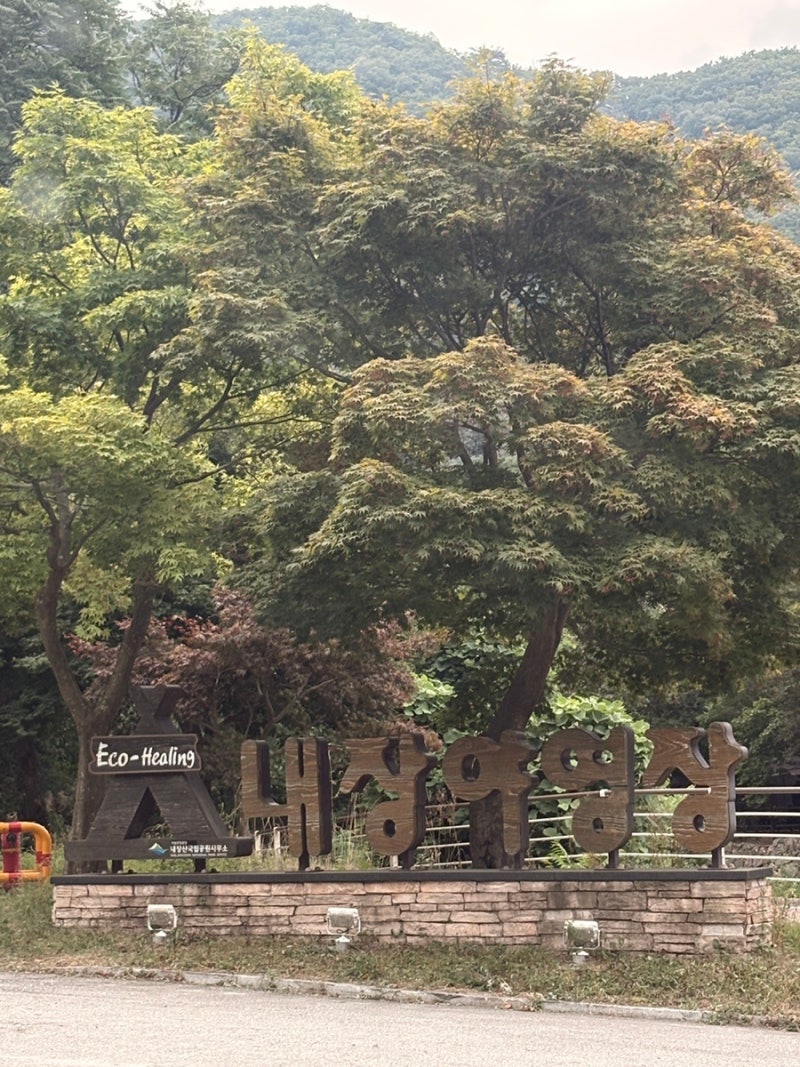 [전북 정읍 여행] 가성비 숙소추천 내장산 야영장 하우스 18번 후기, 예약방법 및 근처 맛집추....
