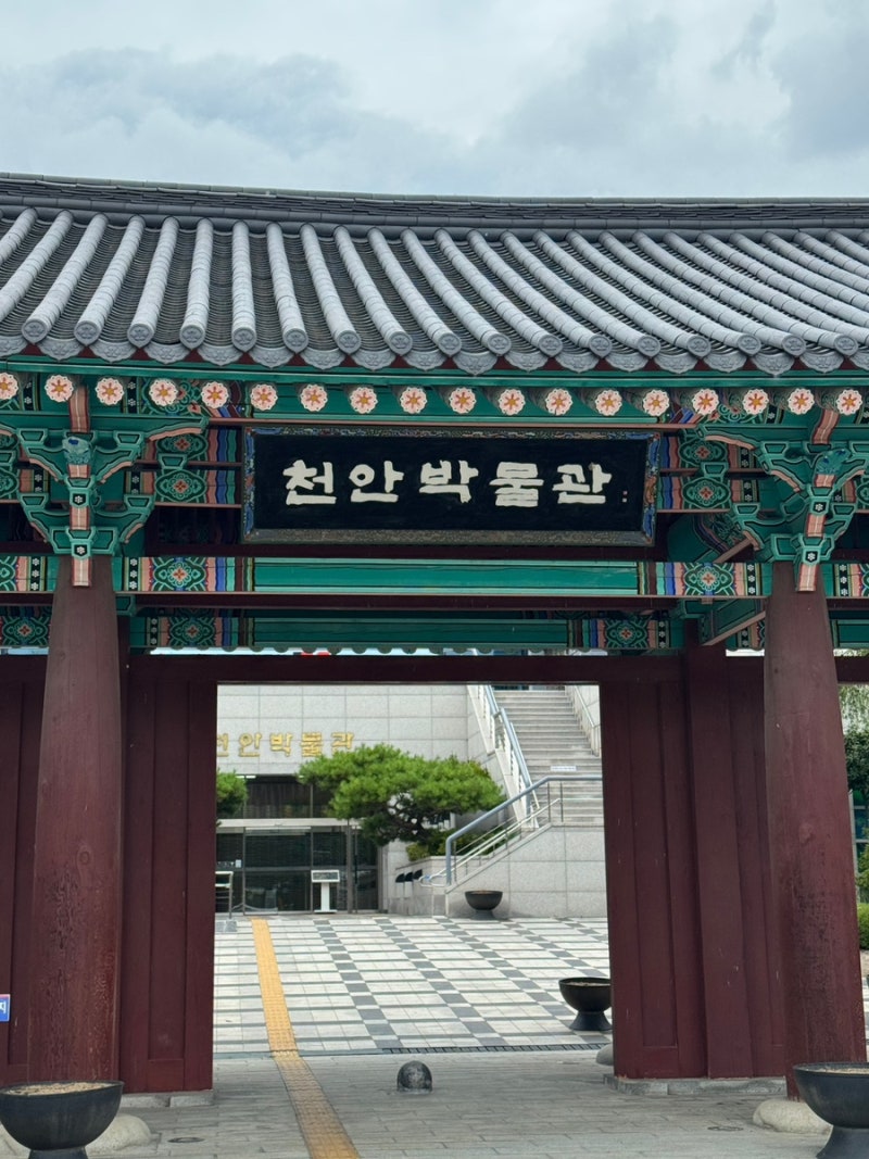 천안 아이와 가볼만한곳 천안 박물관 어린이박물관｜45개월·19개월 두 아이와 다녀온 후기