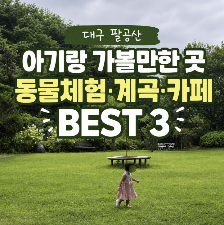 대구 근교 팔공산 아기랑 가볼만한 곳 동물체험 계곡 카페 추천 BEST 3