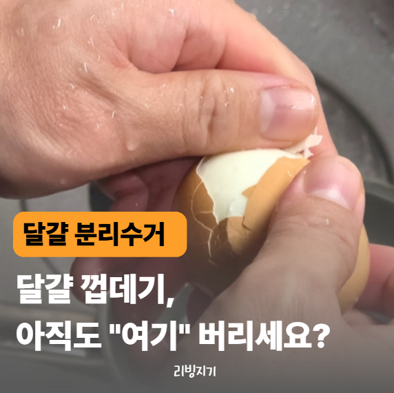 달걀 껍데기, 일반쓰레기일까? 헷갈리는 분리수거 완벽정리