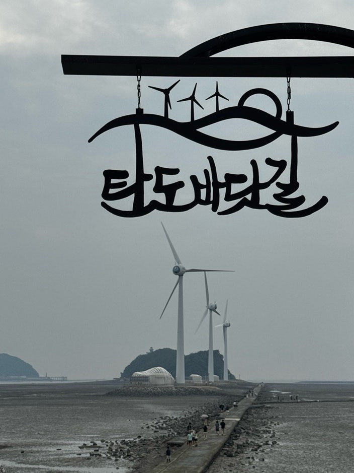경기 안산 가볼만한 곳 / 서울 근교 드라이브 추천 >>> 탄도항 • 탄도바닷길 | 물때 시간 확인....
