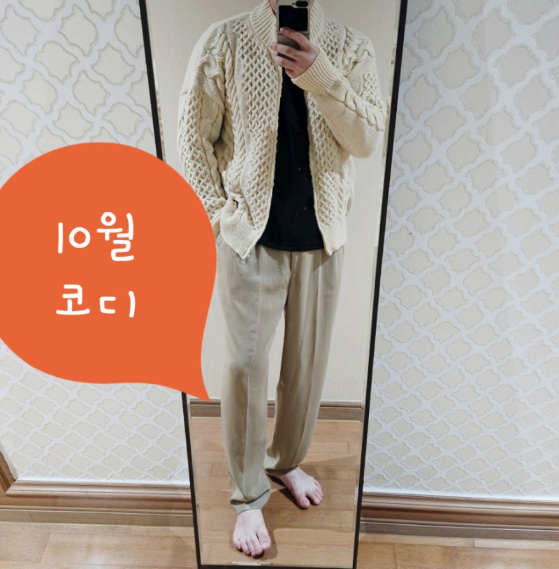 10월 코디 미리 준비하자 남자 후드 집업 일본 후드집업 브랜드 찾다가 옷 정리하며 입어본 ....