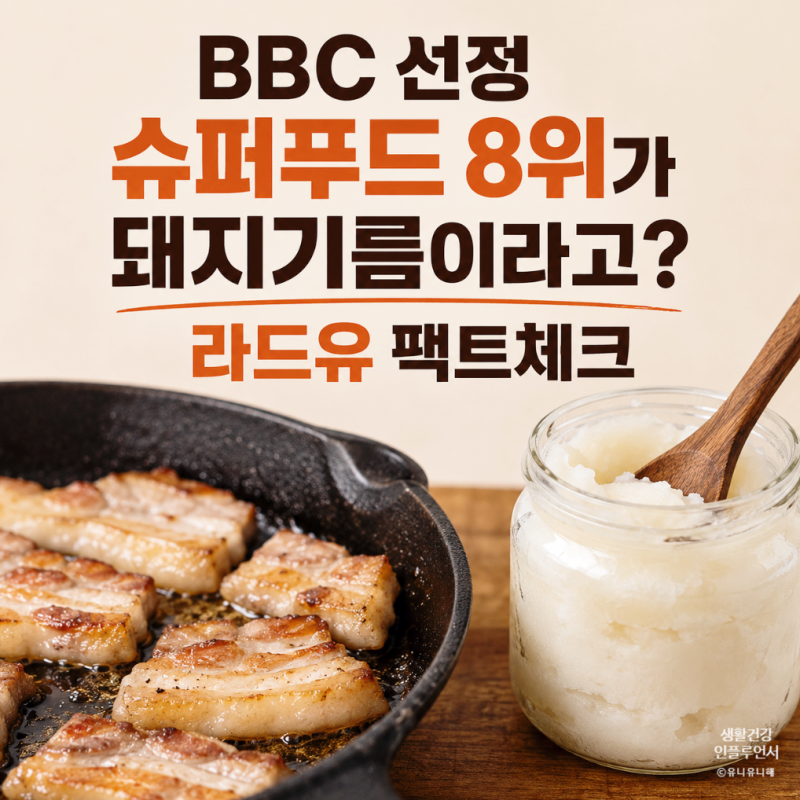 돼지기름이 슈퍼푸드? 라드유 뜻과 효능, 진짜 건강에 도움되는지 팩트체크
