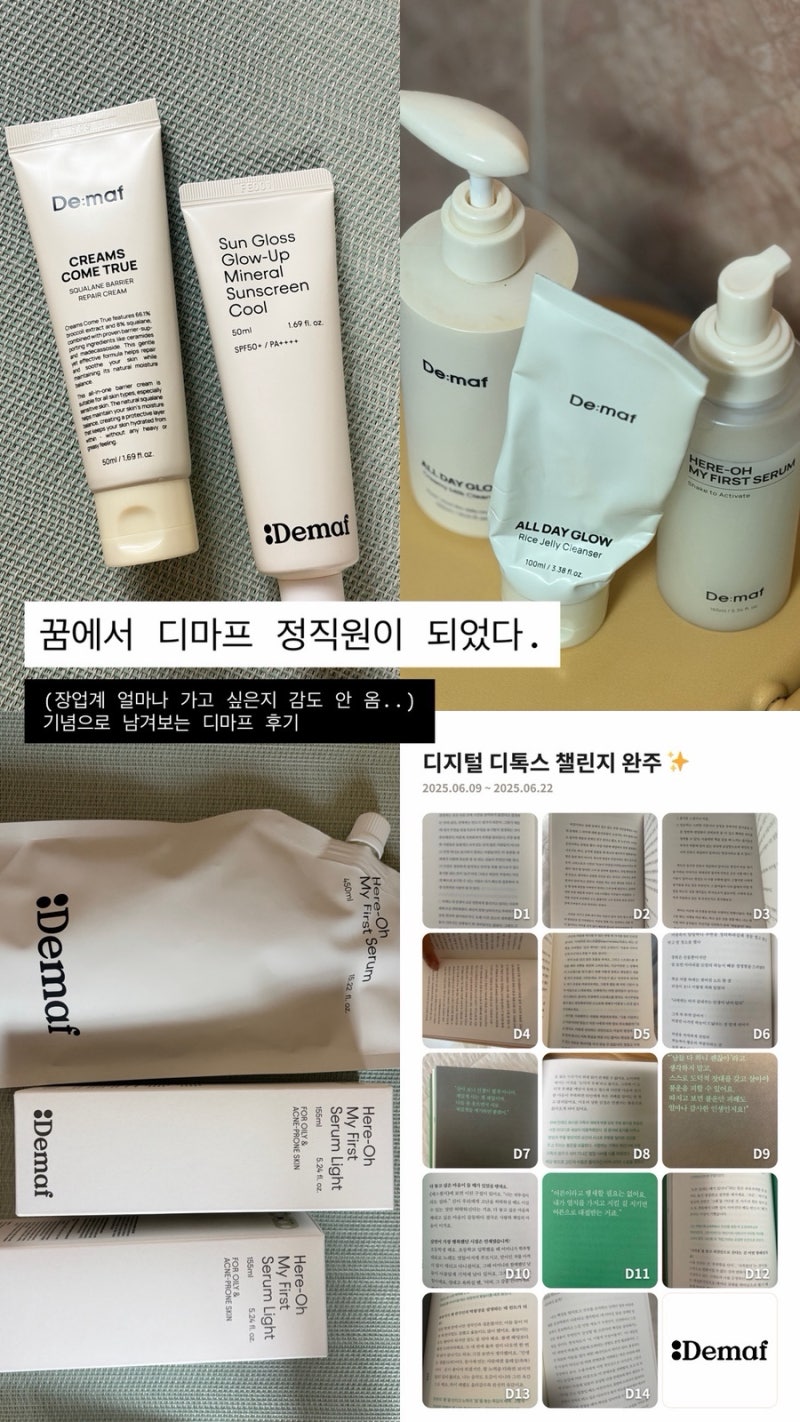 디마프 정직원이 된 꿈을 꾼 기념으로, 내가 쓰는 디마프 리뷰
