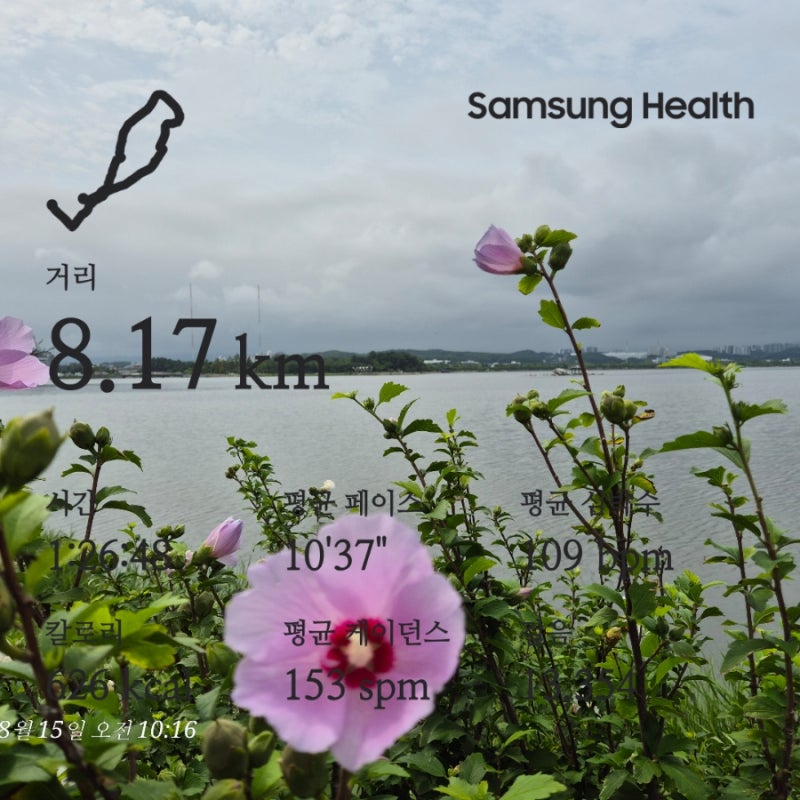 강릉 러닝코스 10km 추천 8.15 슬로우조깅 50대 심박수 케이던스
