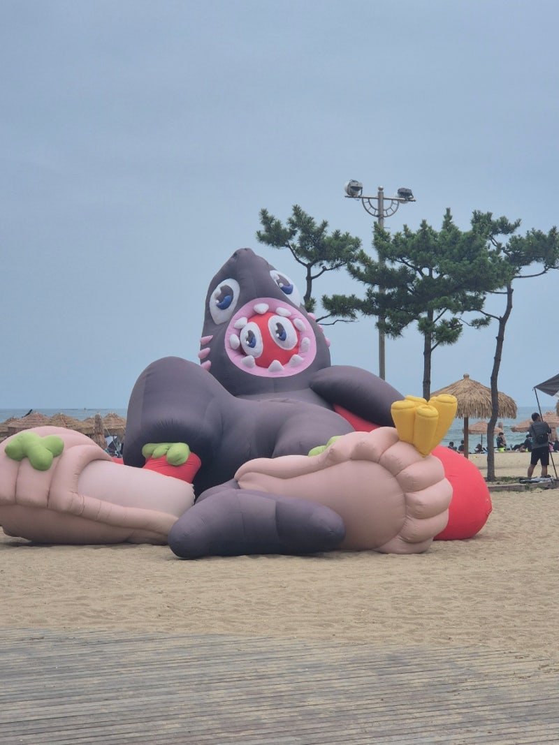 양양 낙산해수욕장 주차장 비교, 먹거리 놀거리 총정리