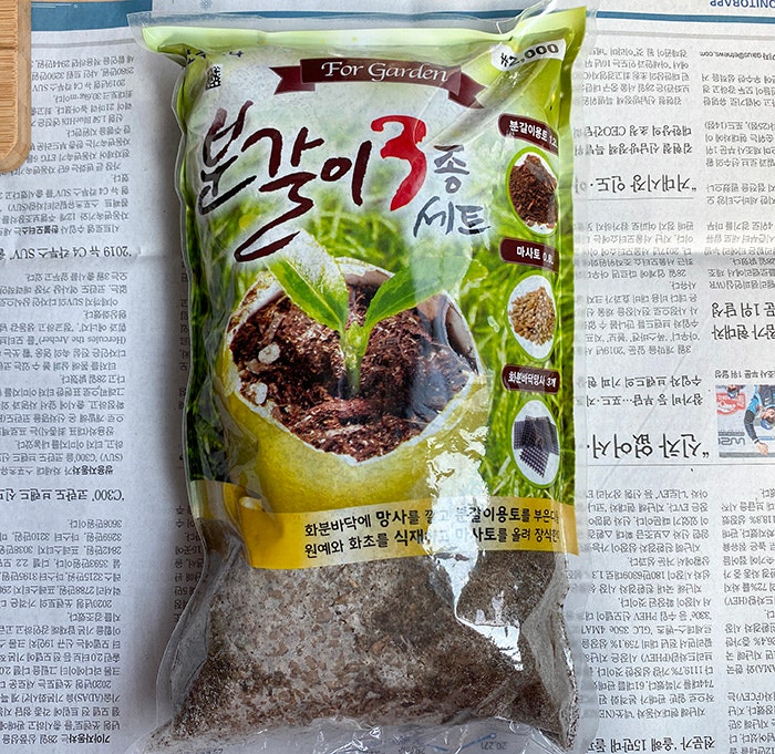 분갈이 흙 종류 총정리 | 집에서 분갈이할 때 어떤 흙을 써야 할까?