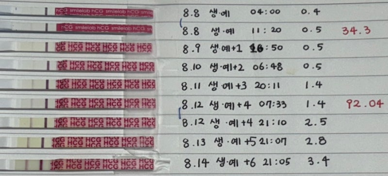 임신기록-임테기 진하기 더딤/늦은착상/다낭성 인간의 기록(추가)