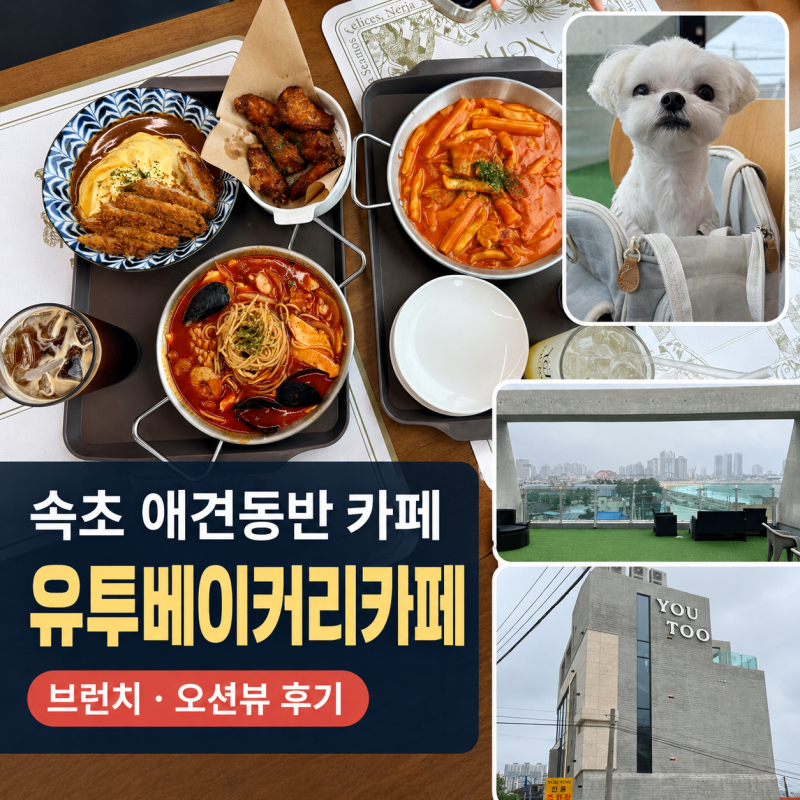 속초 애견동반 카페 유투베이커리카페 브런치 오션뷰 후기