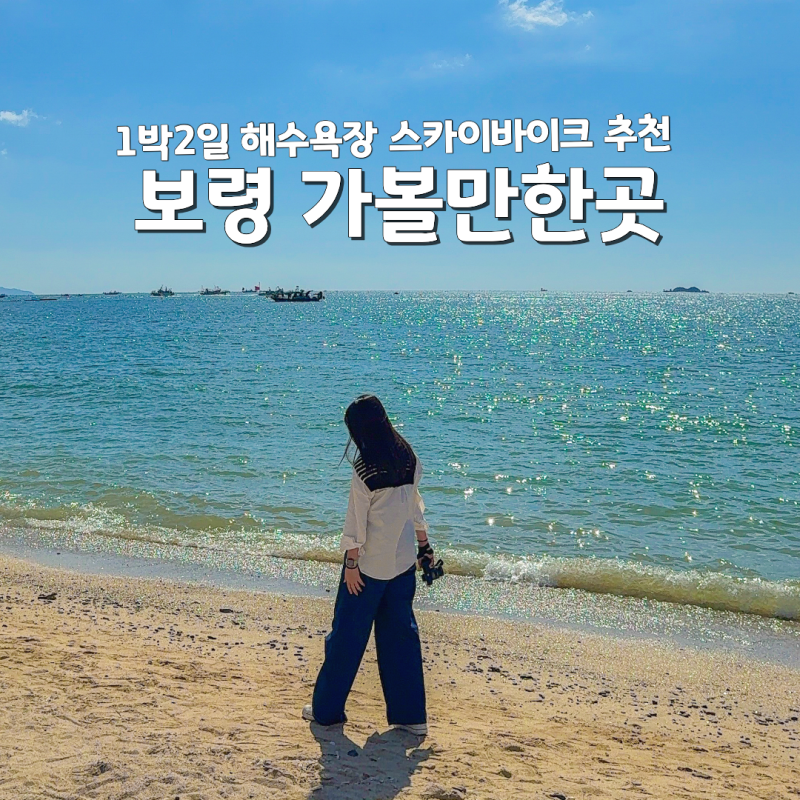 충남 보령 여행 가볼만한곳 추천 대천해수욕장 스카이바이크 레일