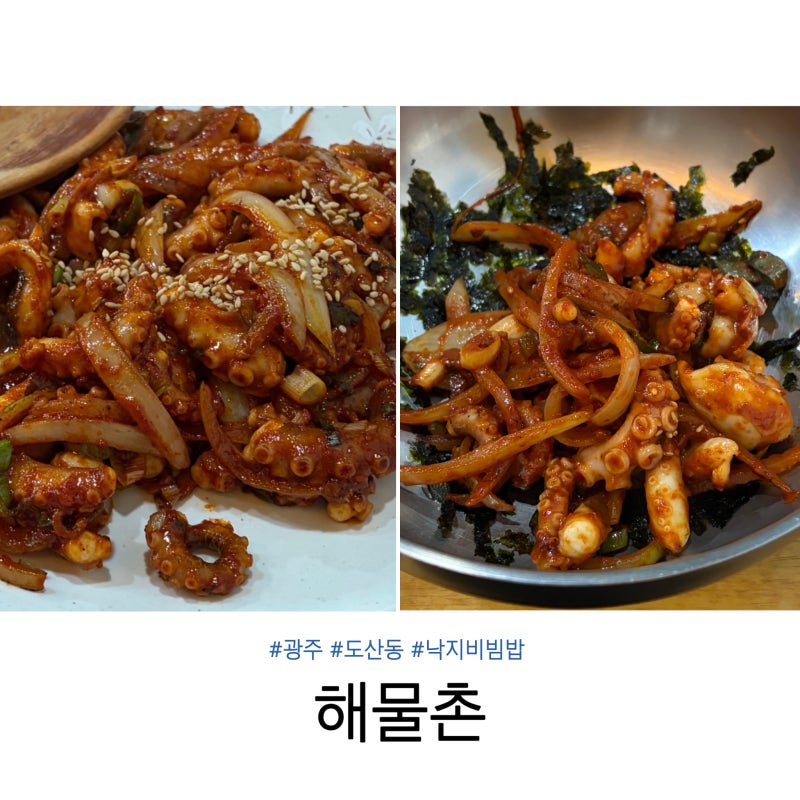 광주 도산동 해물찜 맛집 | 해물촌 낙지비빔밥 후기