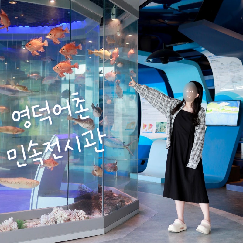 경북 영덕 가볼만한곳 영덕어촌민속전시관 아이와 갈만한 실내 놀거리 추천