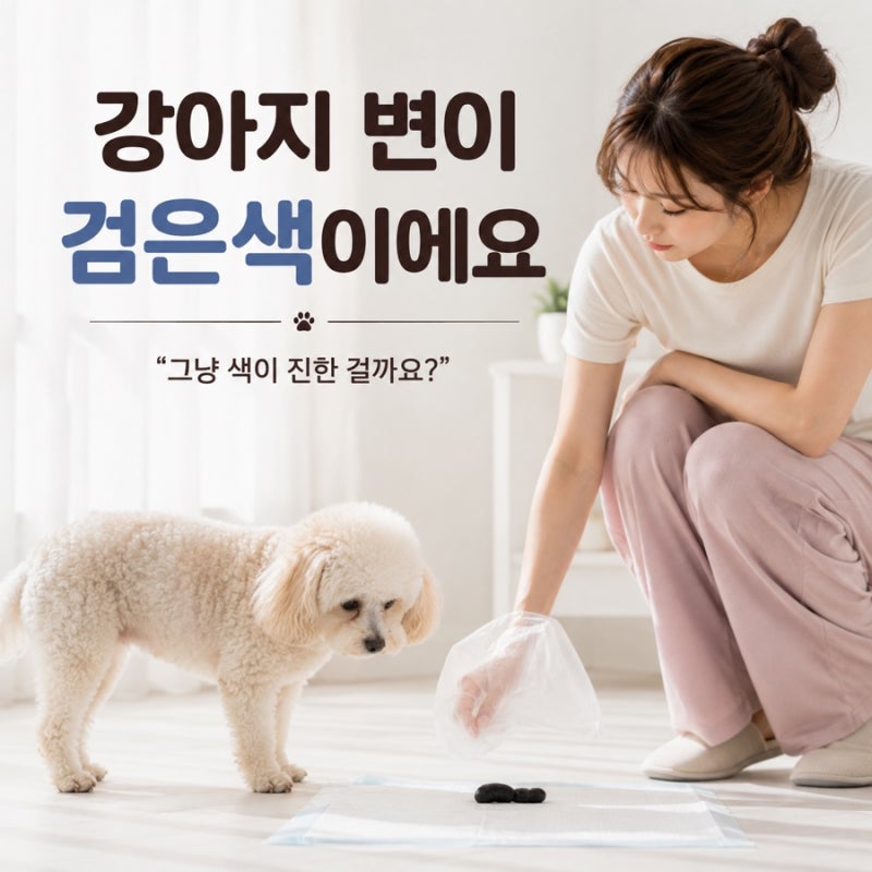강아지 변이 검은색이에요｜흑변이 위험한 이유