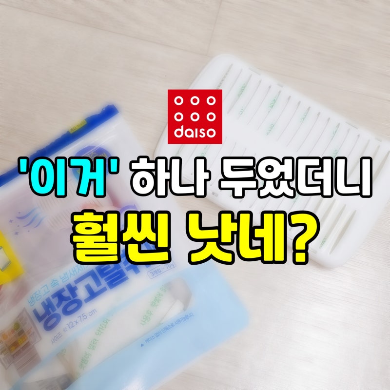 '이거' 하나 두었더니 훨씬 낫네? 다이소 냉장고 탈취제