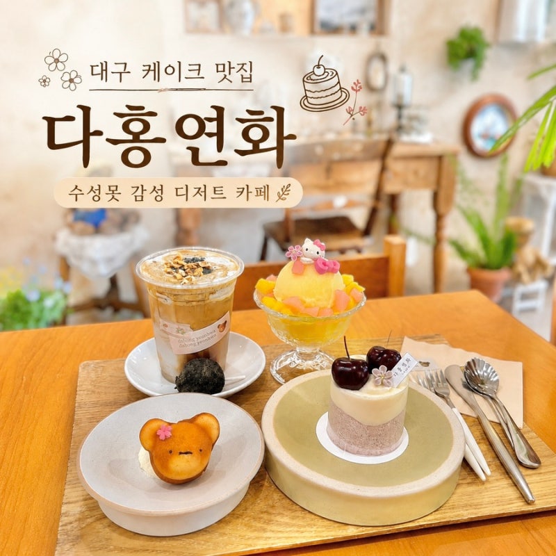 대구 케이크 맛집 다홍연화 수성구 디저트 맛집 대구 애견동반 카페