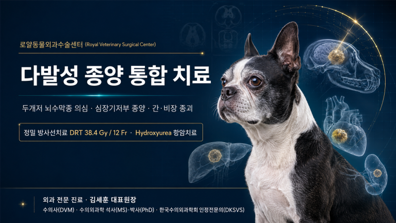 [Case Study] 강아지 두개저 뇌수막종·다발성 종양, 정밀 방사선치료와 항암치료 사례
