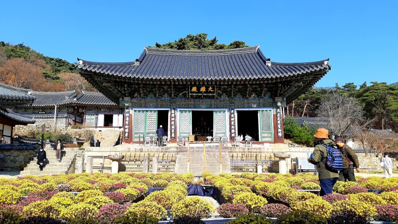 대구 동화사 나들이 9월 여행지 가볼만한곳 팔공산 드라이브 코스 대구 절 명소