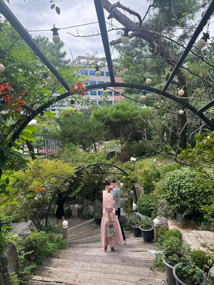소나무 사진 5