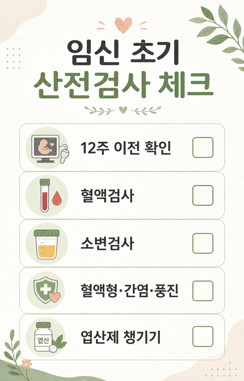 임신 초기 산전검사, 언제 어떤 항목을 받는지 정리