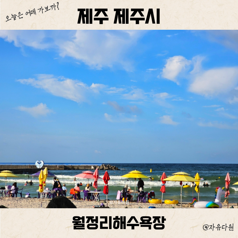 제주도 물놀이 동쪽 월정리해수욕장 주차 샤워장 서핑 추천