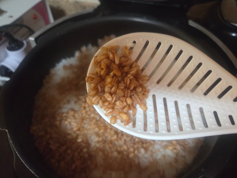 파로 밥짓기 레시피 farro쌀 효능 1년 먹고 후기