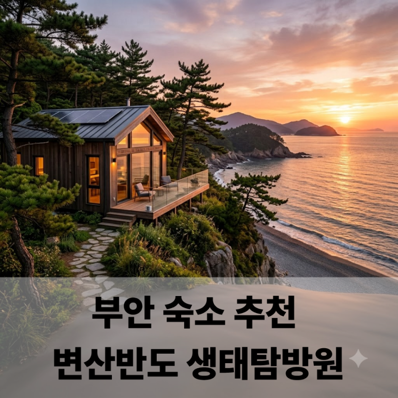 부안 숙소 추천 변산반도 생태탐방원 2인실부터 자연의 집까지, 권종별 가격 정리