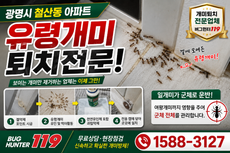 광명시 철산동 아파트 유령개미 퇴치업체 버그헌터119 ☎ 문의 1588-3127