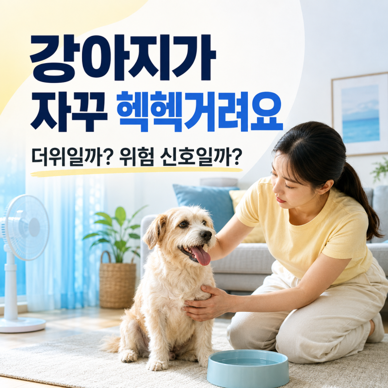 강아지 헥헥거림 이유와 위험 신호｜열사병 의심 증상 및 응급 대처법