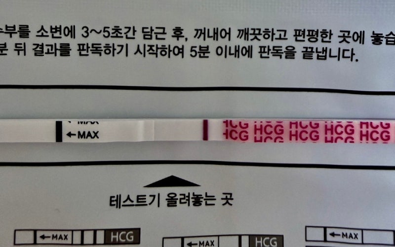 임신준비 | 인공수정 1차 성공?? 실패??