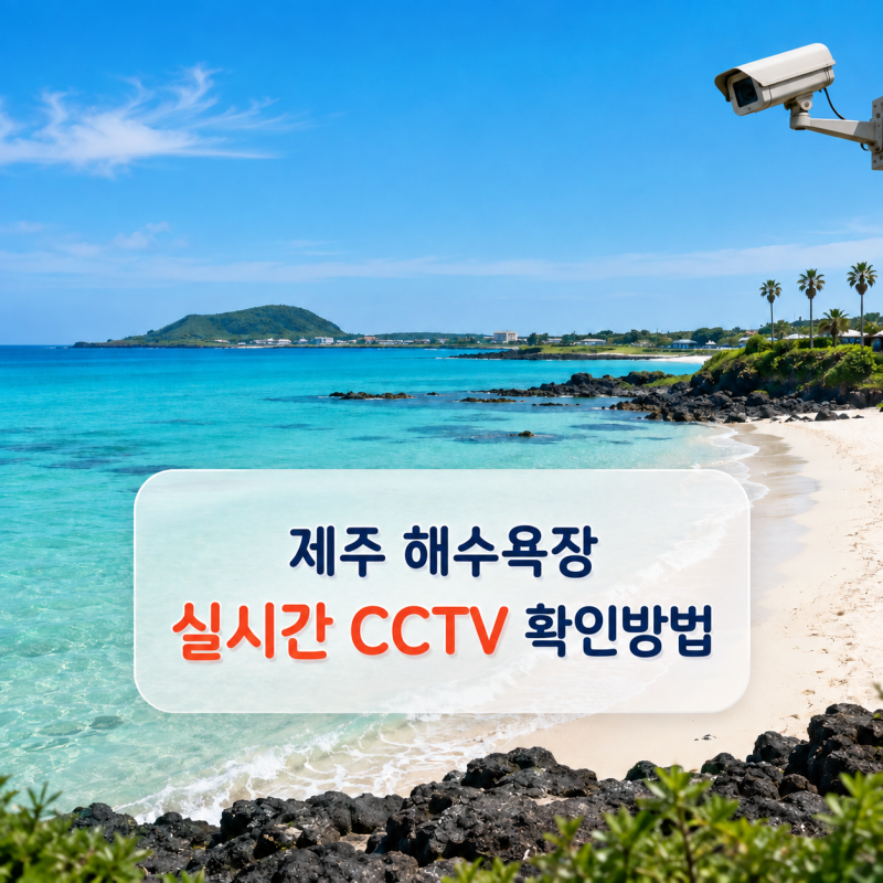 제주 해수욕장 통제 실시간 확인 방법｜제주 바다 CCTV 6곳