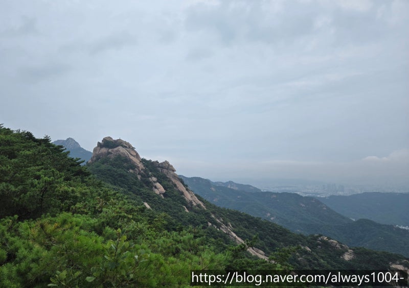 북한산등산 독바위역 출발 족두리봉·향로봉·비봉 거쳐 승가사 하산 초보 완벽 가이드