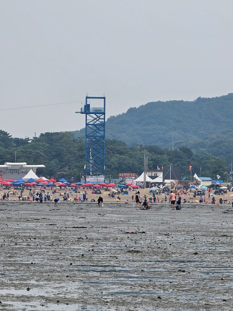 인천 무의도 하나개해수욕장 물놀이 갯벌체험 수도권 여름 물놀이