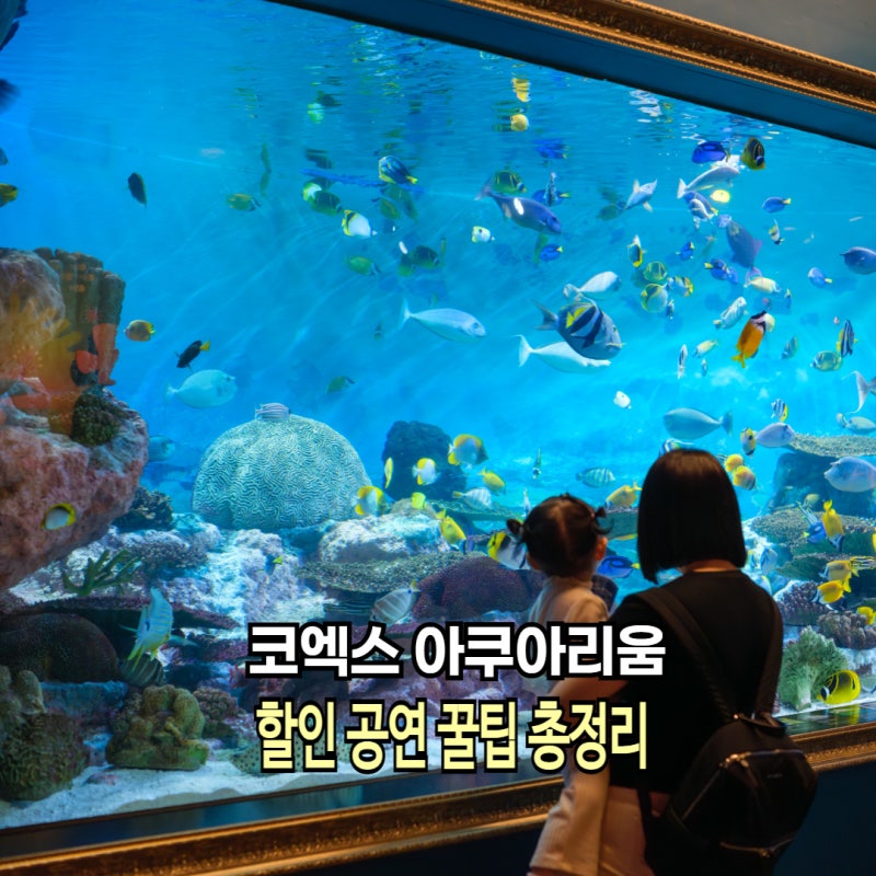 삼성 코엑스 아쿠아리움 입장료 할인 특가 주차 인어쇼 관람 꿀팁