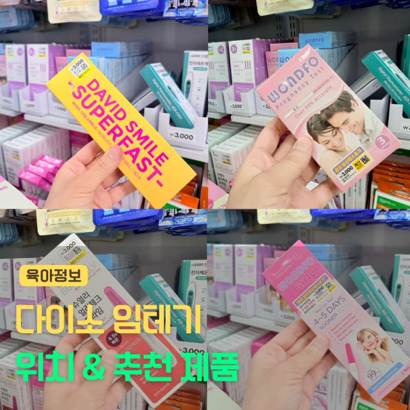 다이소 임테기 위치는 어디? 시기별 추천 아이템 총정리