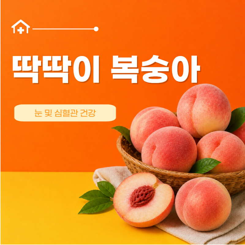 딱딱이복숭아 딱복 효능 7가지 제철 품종 칼로리 후숙 방법 기간 보관 법