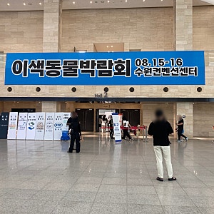 파충류 가득한 2026 이색동물박람회 수원컨벤션센터 다녀온 후기